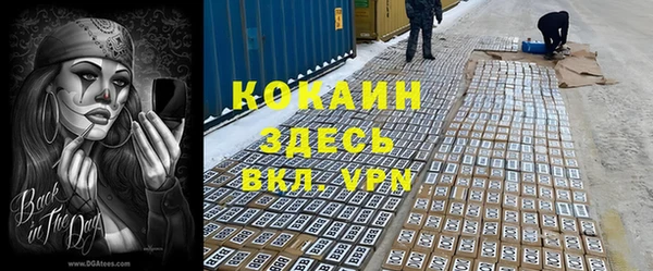 МДПВ Дмитриев