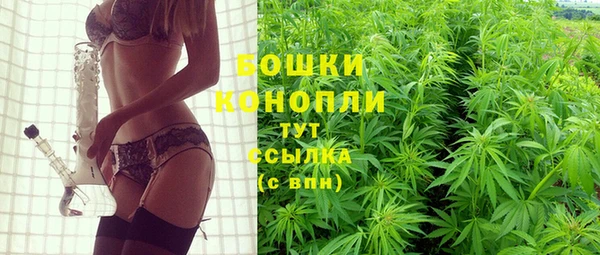 МДПВ Дмитриев