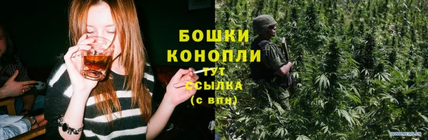 винт Дмитров