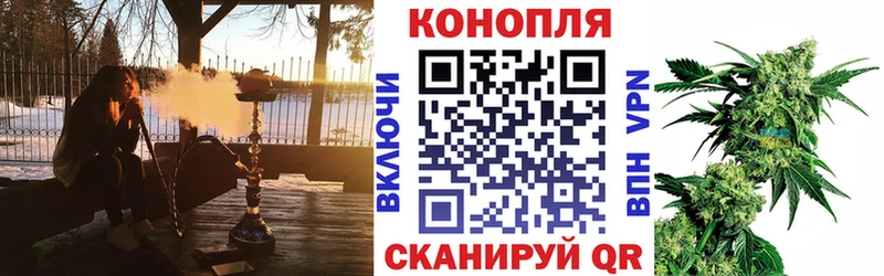 Каннабис индика  Новая Ладога 